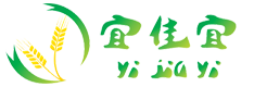 山东宜佳包装科技有限公司_纸浆餐具_纸浆餐盒_【官方网站】